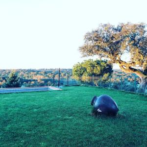 Casas da Faia - Nature Guest House