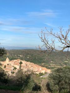 B&B / Chambres d'hotes L'aile du Chateau : photos des chambres