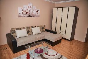 One-Bedroom Apartment room in Apartman ANA