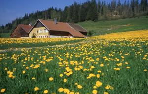 Villages vacances Evasion Tonique : photos des chambres