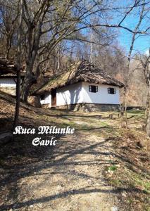 Apartmani Angelina Jošanička Banja