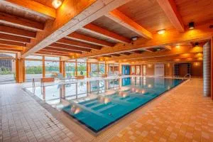 帕克假日国会和健康酒店 - 日恰尼