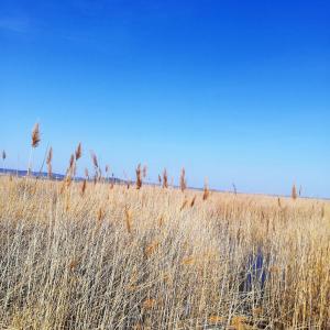 Kirschbluetenappartements