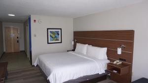 Standard King Room with Mobility Accessible Tub room in Holiday Inn Express Hotel & Suites Greensboro-East an IHG Hotel