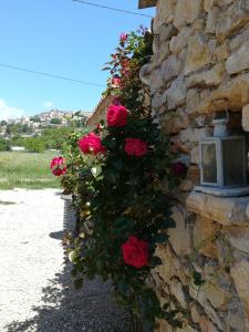 Sejours a la ferme La Ferme Constantin : photos des chambres