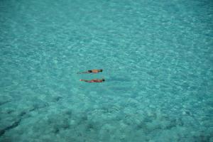 Awei Pila (Mergui Archipelago)