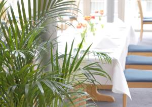 Hotel Alber