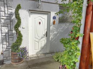 Apartment Harmonija apatin