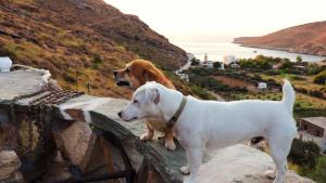 Sun Holiday House Kea Greece