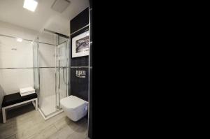 Apartamenty Biała Sowa Czarna Góra