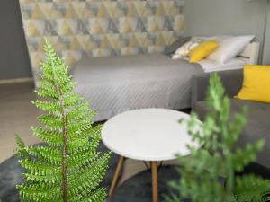 Apartament na Starówce III