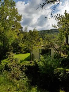 Maisons de vacances Beautiful studio surrounded by nature : photos des chambres