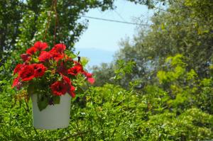 Heracles Guesthouse Evia Greece