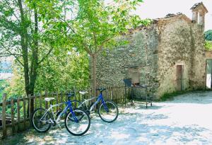 Agriturismo Coldipietra