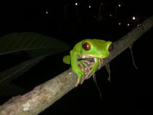 Jungle Lodge El Jardin Aleman