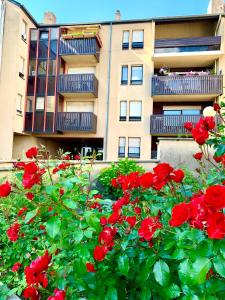 Appartements L'appart Moulin des Thermes Metz : photos des chambres