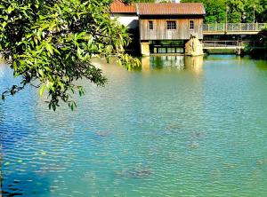 Appartements L'appart Moulin des Thermes Metz : photos des chambres