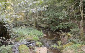 Studio aux Sources de la Chabanne