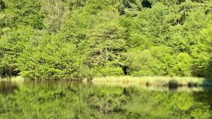 Studio aux Sources de la Chabanne