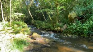Studio aux Sources de la Chabanne