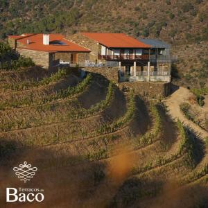 Terraços de Baco