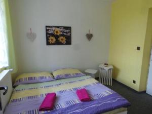 Economy Double Room room in Penzion Tomy1
