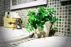 Dulces Dreams Boutique Hotel