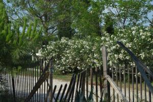 B&B / Chambres d'hotes Bergerie d'Alivon en Camargue : photos des chambres