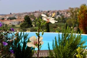 Grand Bleu Apartments & Villas Argolida Greece