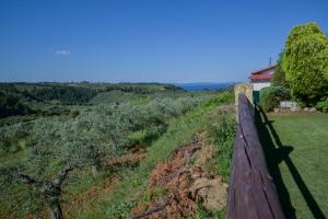 Villa Eva Halkidiki Halkidiki Greece