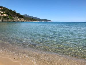 Beach apartments Isola dElba