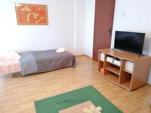 Apartman Santos