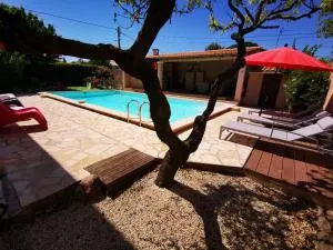 Gîtes avec grande piscine et sa terrasse privative - Langlade