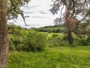 Appartements Apartment in Meze with Pool and Vineyards : photos des chambres