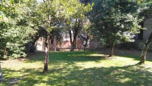 B&B Borgo di Oliveto - Appartamenti con Cucina