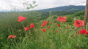 Gästehaus der Gamser Winzerstube