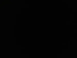 Apartman Višković Koromačno - Brovinje