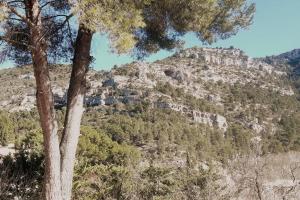 Appartements Vue panoramique sur le chateau,montagne et grottes : photos des chambres