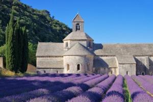 Appartements Vue panoramique sur le chateau,montagne et grottes : photos des chambres