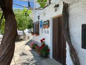 Hostal Atalaya en Capileira CB - 贝尔楚勒斯