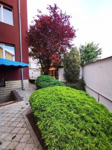 Apartamente Vila Arcadia