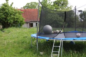 Słoneczny siedlisko