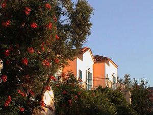 Scenic Apartment in Lesbos Island with Pool Lesvos Greece