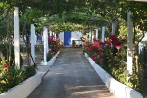 Alexandra Studios Skopelos Greece