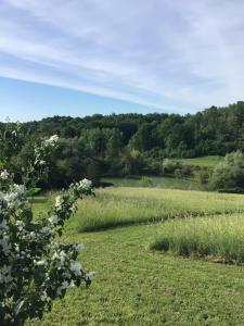 Sejours chez l'habitant Les Temps des Sources : photos des chambres