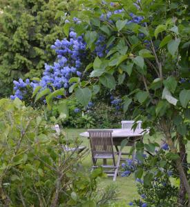 B&B / Chambres d'hotes Les Jardins : photos des chambres