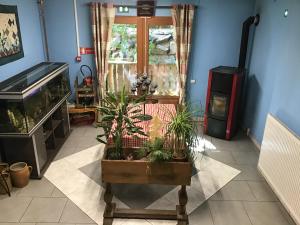 Hotels HOTEL RESTAURANT LA FOURMI : photos des chambres