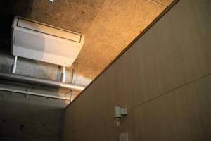 Iwashi Building Hostel