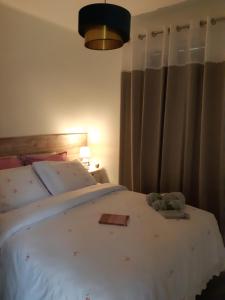 Vue panoramique sur le château,montagne et grottes