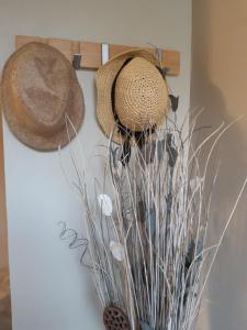 Vue panoramique sur le château,montagne et grottes